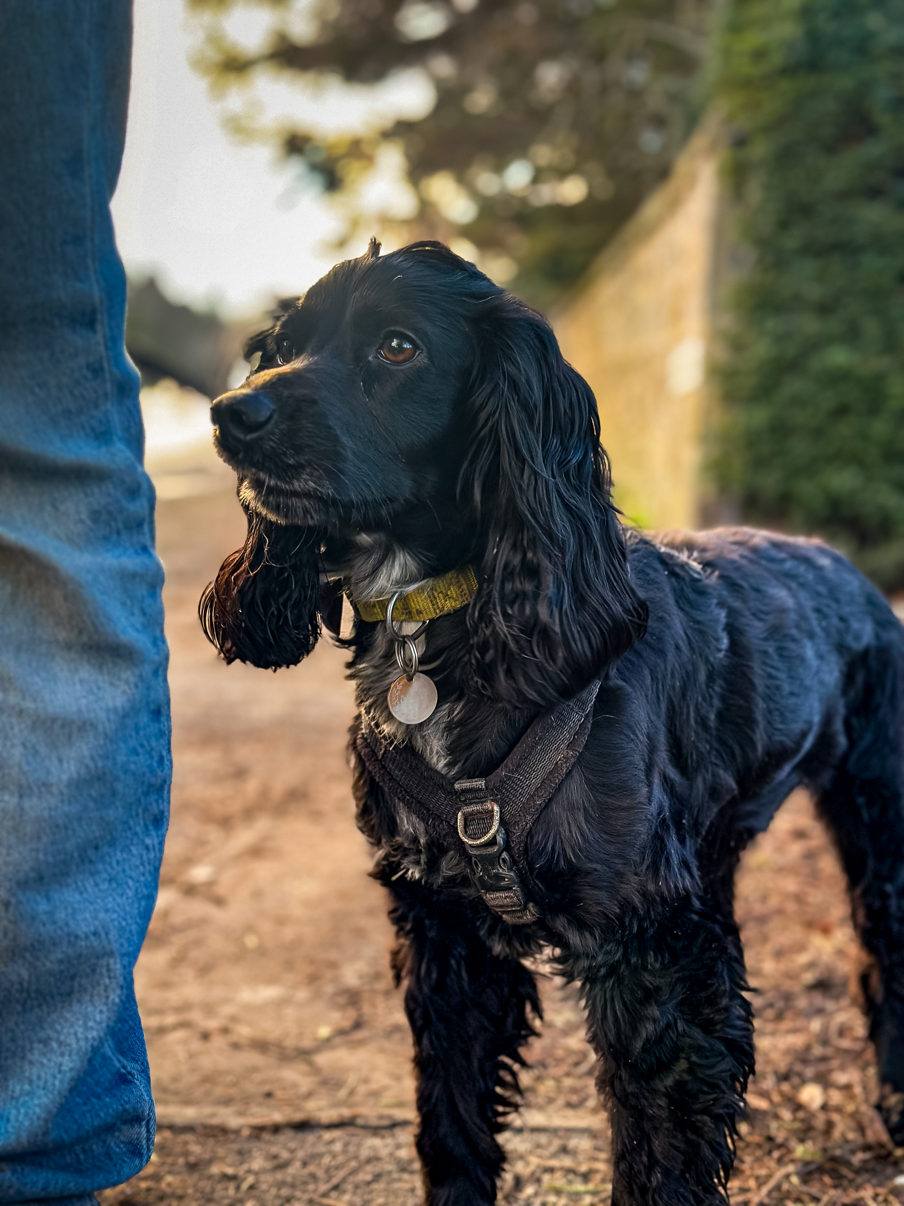 Winter Wonderland London