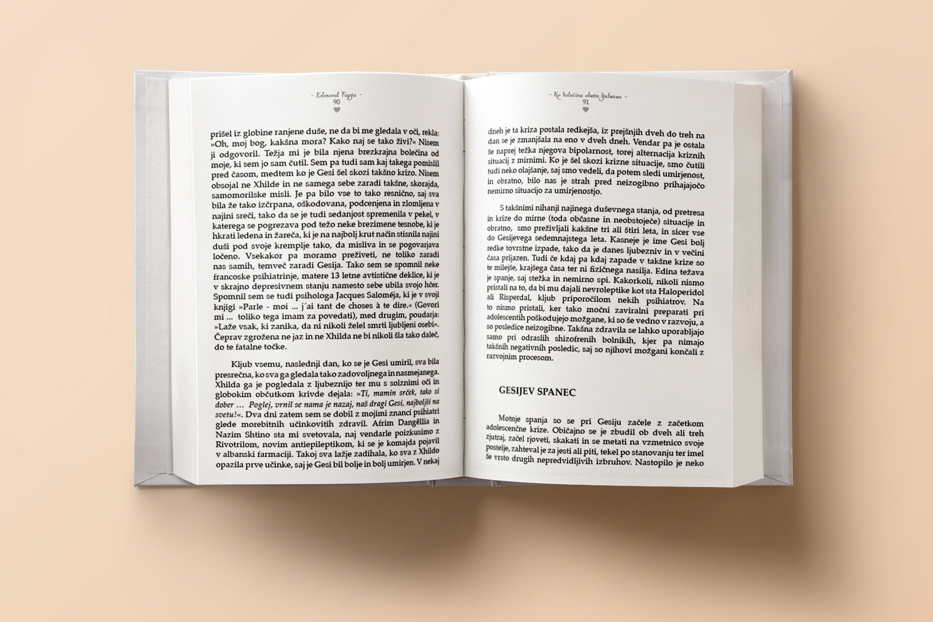 Inside book image showing the layout